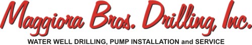 www.maggiorabros.com